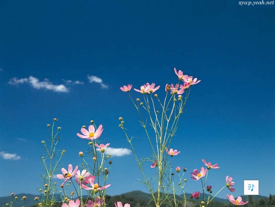 简单机械复习课件_第1页