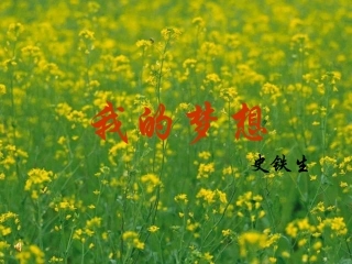 史铁生我的梦想优质全面精品规范