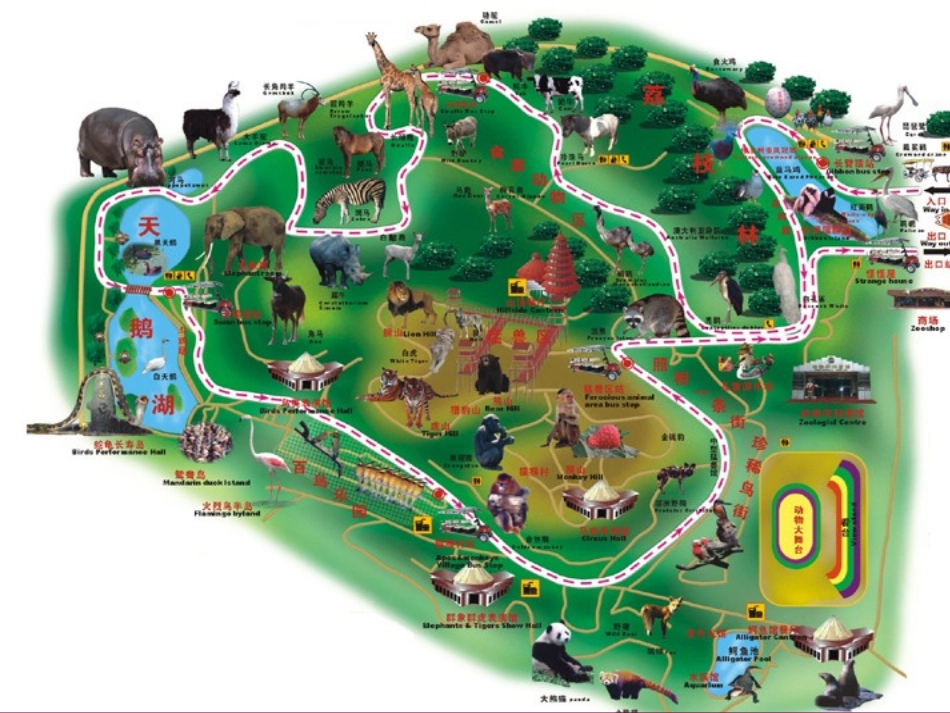 六年级英语上册a-visit-to-the-zoo课件-闽教版_第3页