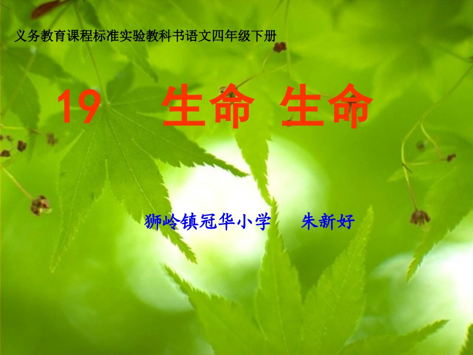 生命生命（朱新好）_第1页