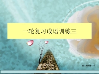 一轮复习之成语运用练习三