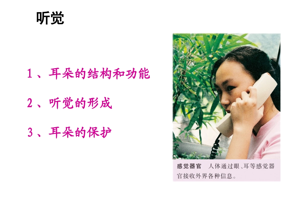 耳的基本结构和听觉形成的过程_第1页