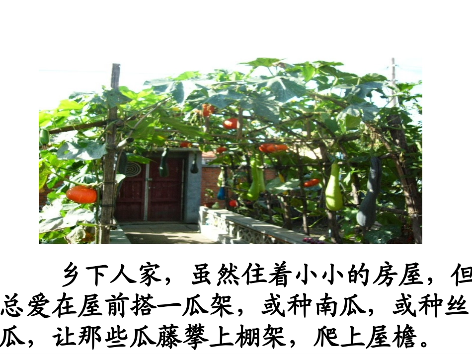 上课《乡下人家》教学课件_第3页