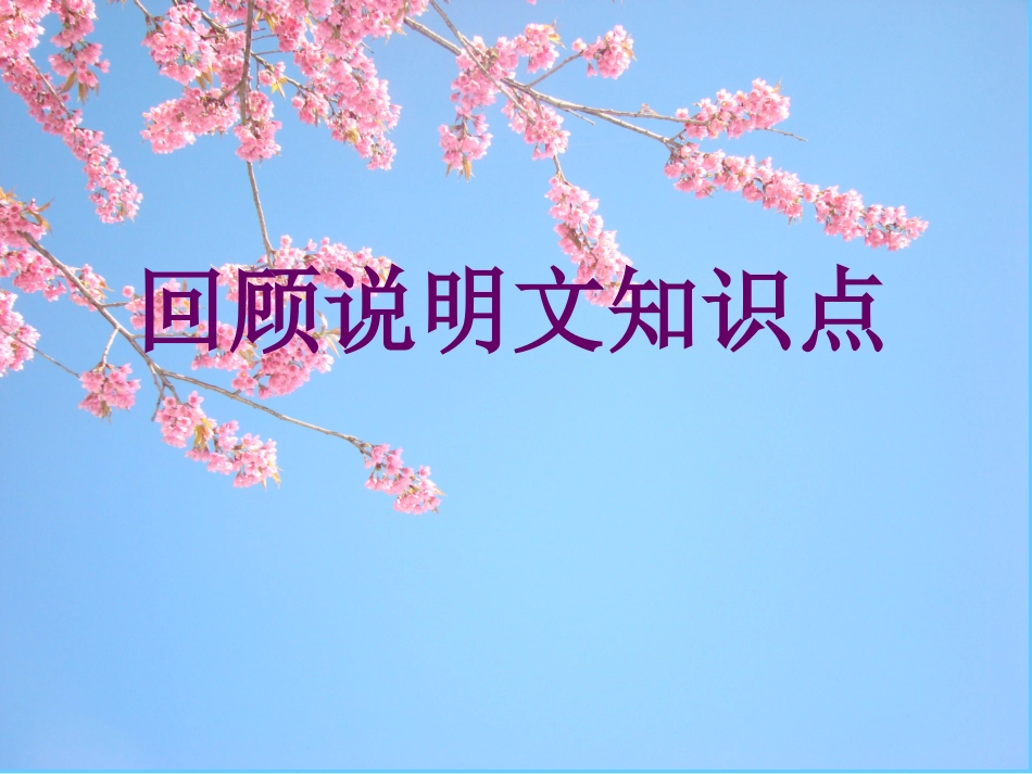 说明文阅读复习_第3页