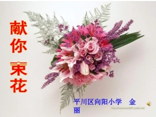 献你一束花第二课时5