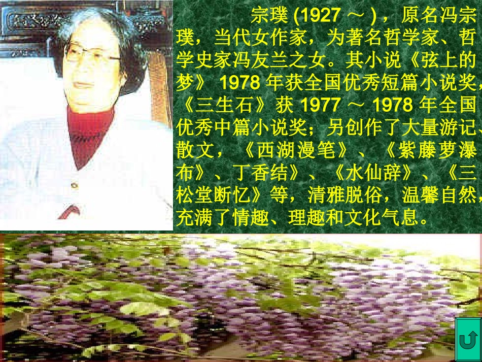 紫藤萝瀑布 (2)_第2页