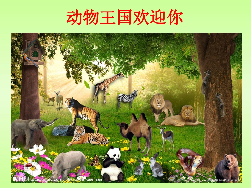 二年级语文上册识字七课件_第3页