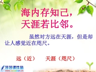 奇妙的国际互联网