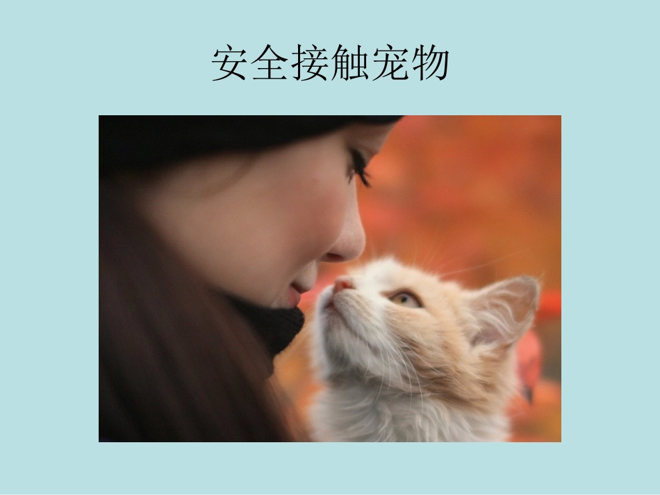 三年综合课件_第1页