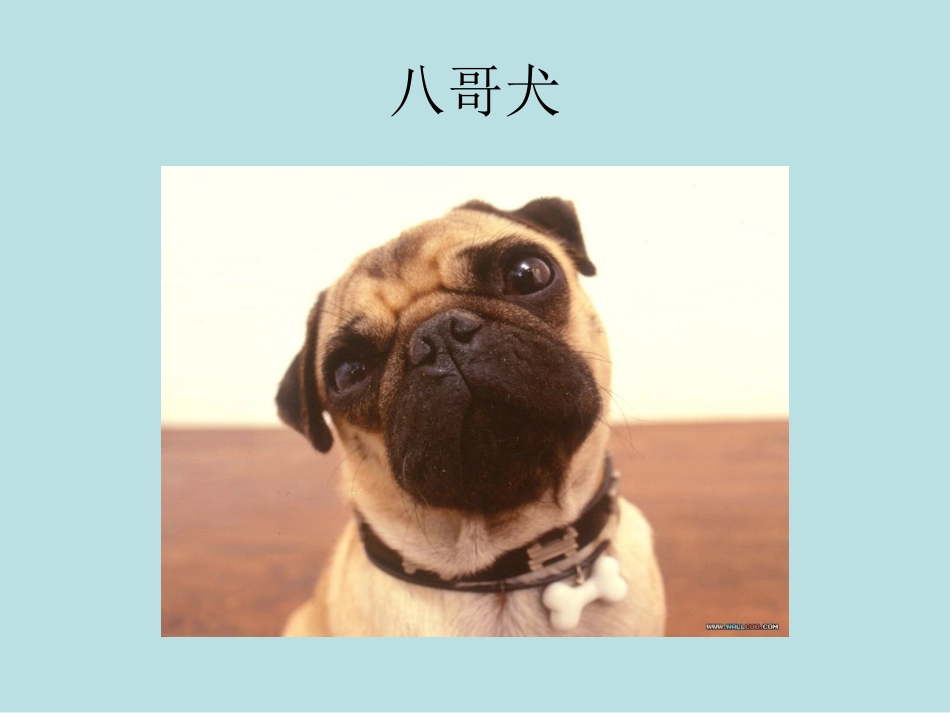 三年综合课件_第2页