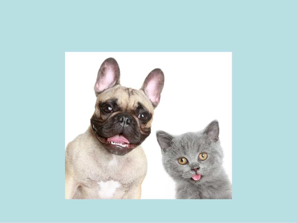 三年综合课件_第3页