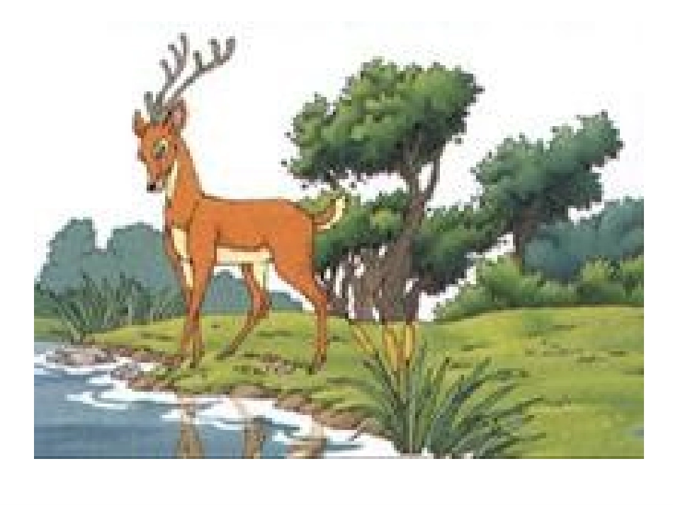 狮子和鹿的幻灯片_第2页