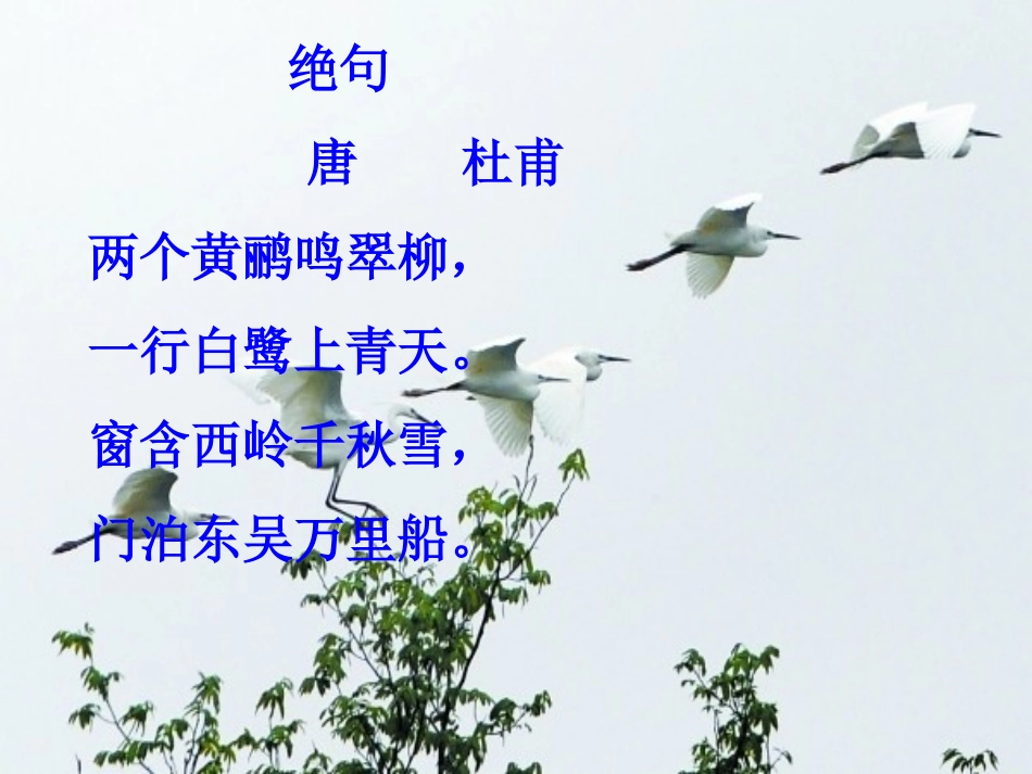 最后一只白鹭鸶1(1)_第1页