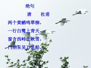 最后一只白鹭鸶1(1)
