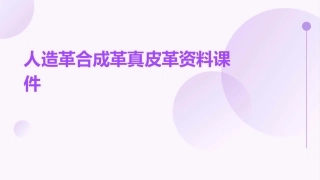 人造革合成革真皮革资料课件