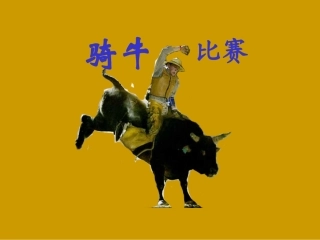 骑牛比赛课件