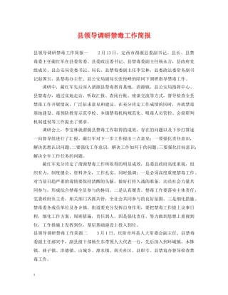 县领导调研禁毒工作简报 