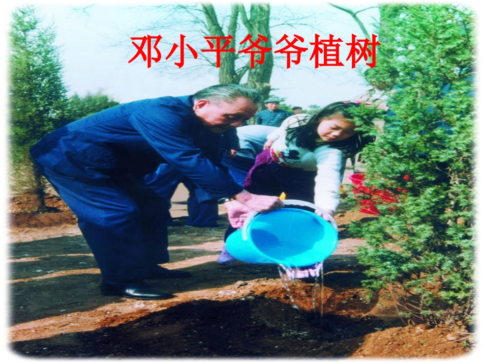 《邓小平爷爷植树》课件【27页】_第1页