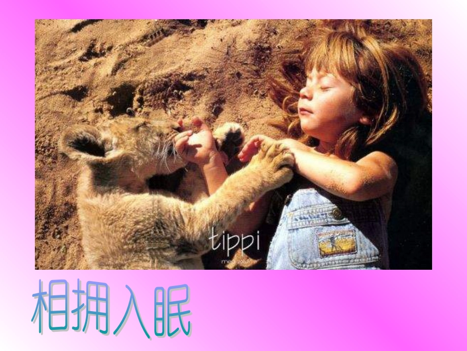 珍珠鸟课件2_第2页