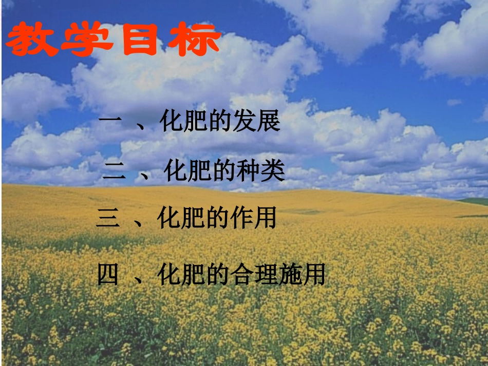 化学《112化学肥料》课件_第2页