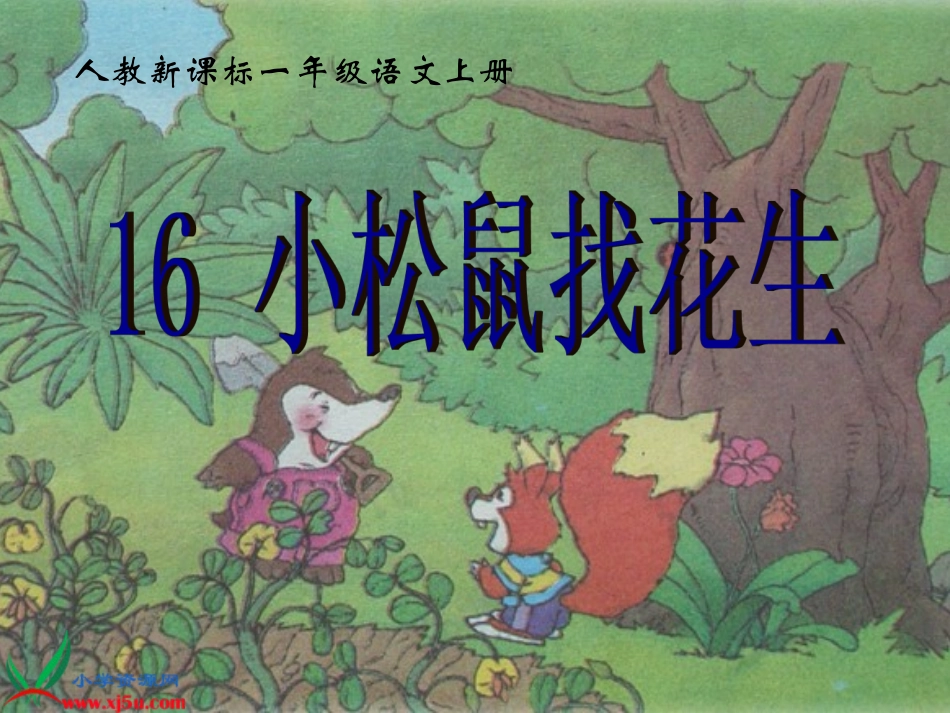 《小松鼠找花生》课件_第1页