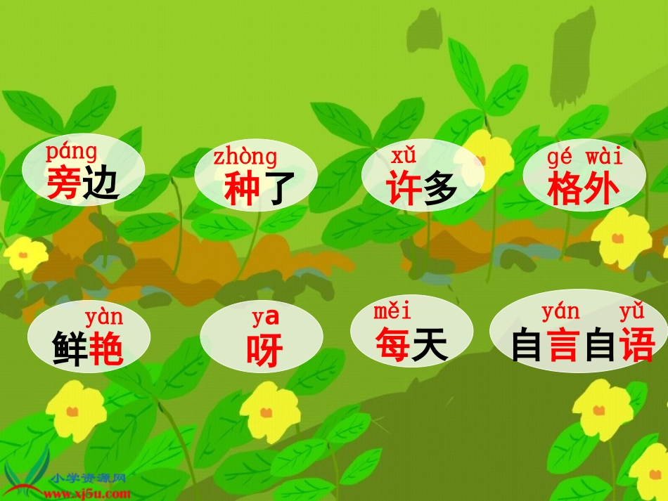 《小松鼠找花生》课件_第2页