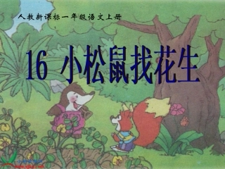 《小松鼠找花生》课件