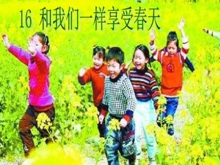和我们一样享受春天完美版