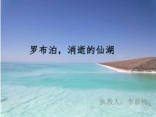 罗布泊，消逝的仙湖 (2)