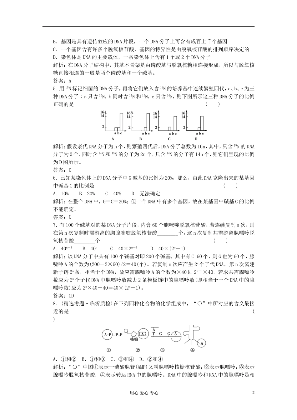 2012届高中生物-4.2《DNA的结构和DNA的复制》同步练习-苏教版必修2_第2页