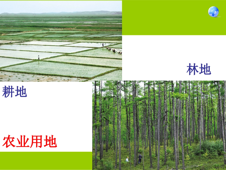 新人教版地理八年级上册第三章第三节《土地资源》_第3页