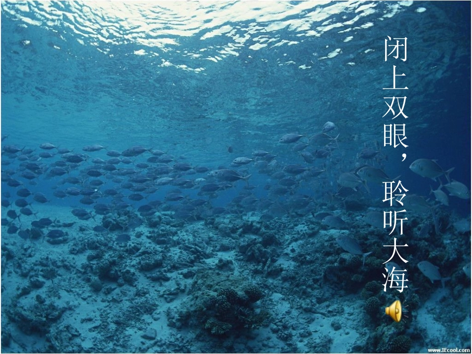 大海啊，故乡_第2页