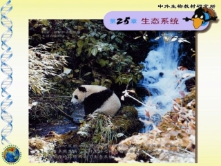 生态系统的组成