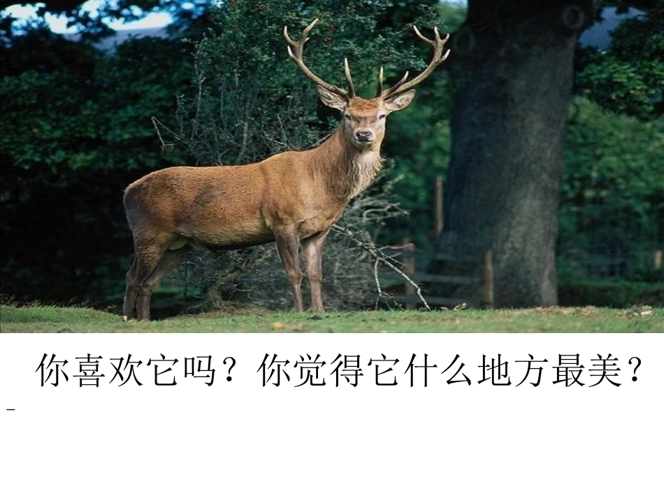 狮子和鹿(1)_第2页