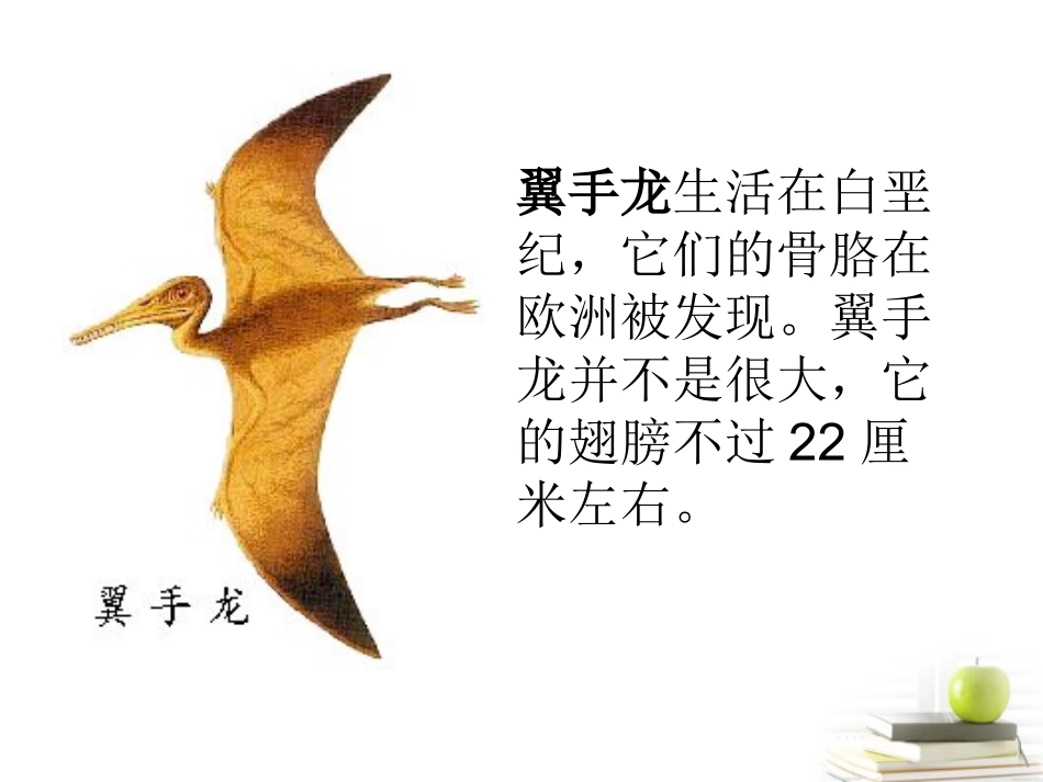 六年级科学下册-消失了的恐龙1课件-苏教版_第3页