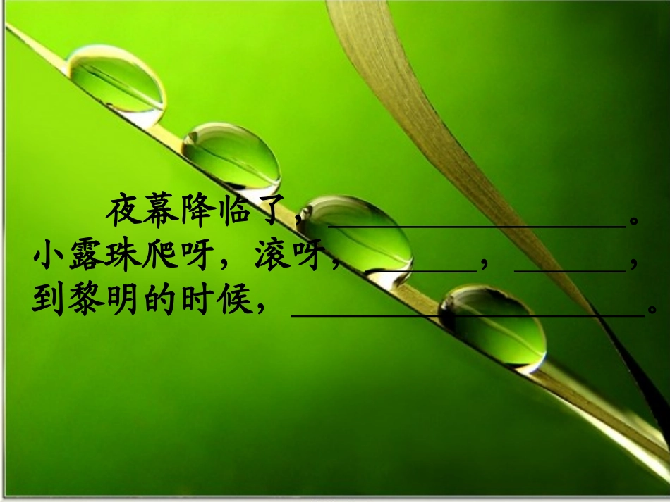 《小露珠》上课用的_第3页