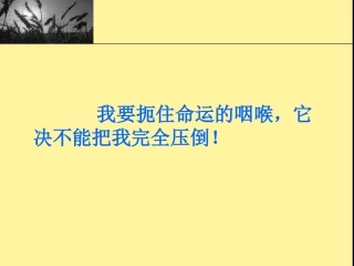 挫折面前也从容课件