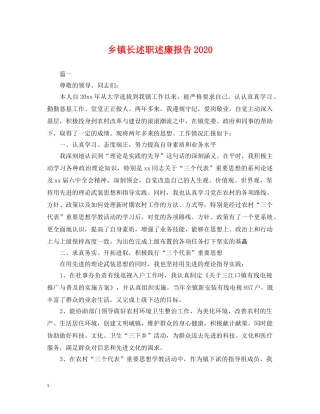 乡镇长述职述廉报告2024