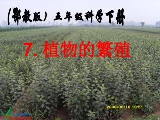 鄂教版小学科学五年级下册植物的繁殖