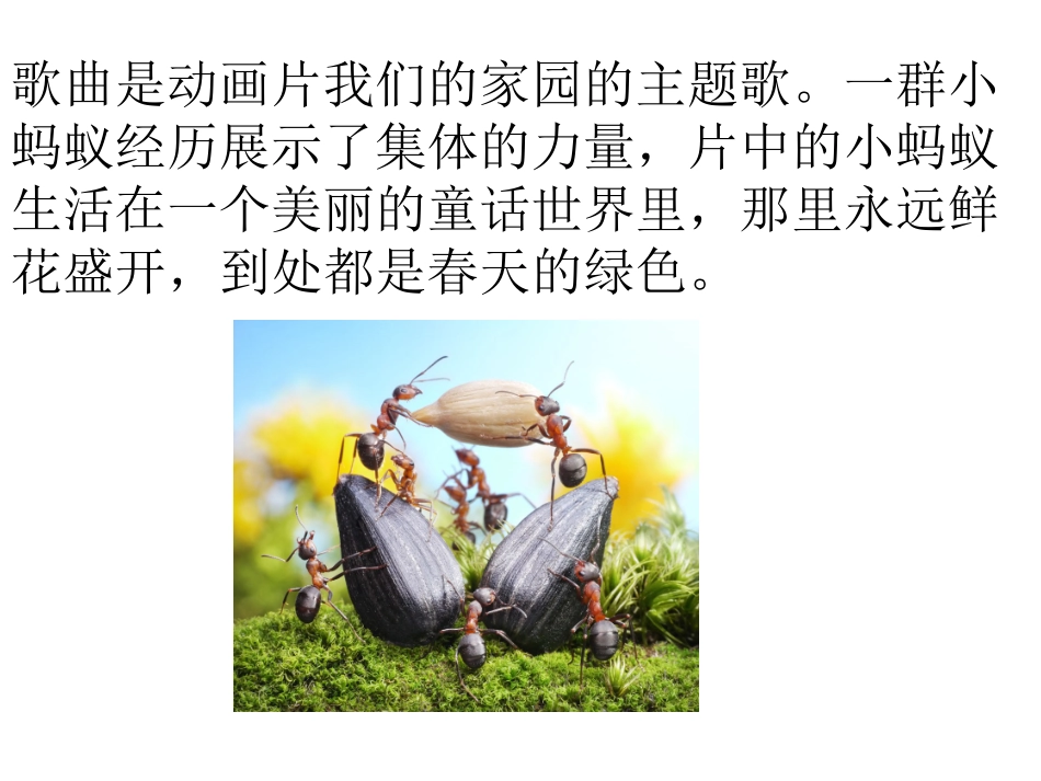 刘洋音乐课件_第3页