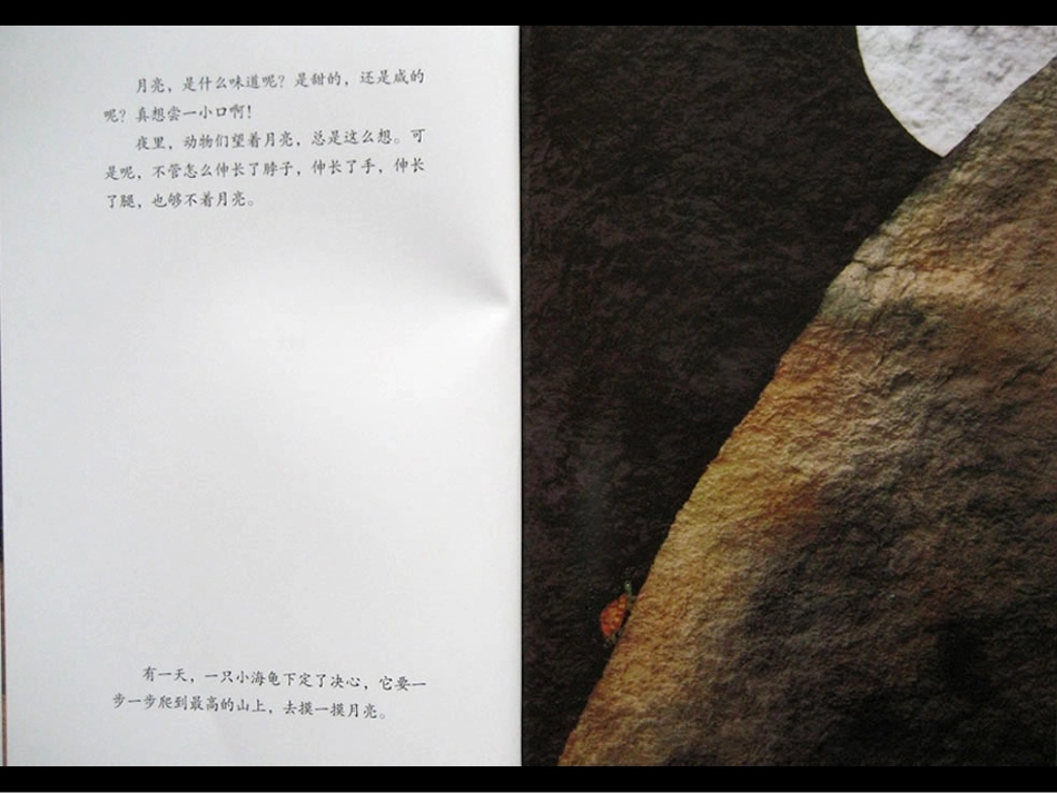 月亮的味道 (2)_第3页