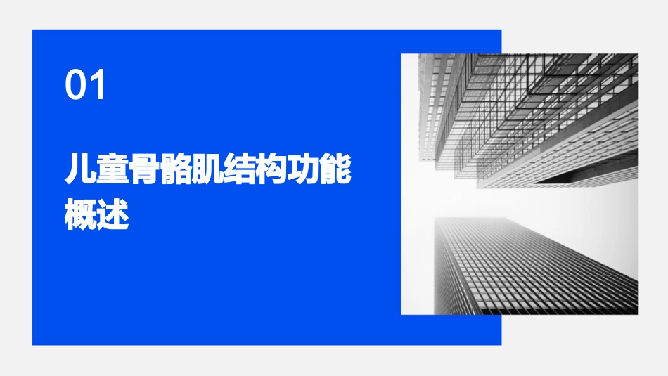 儿童骨骼肌结构功能及发育特点护理课件_第3页