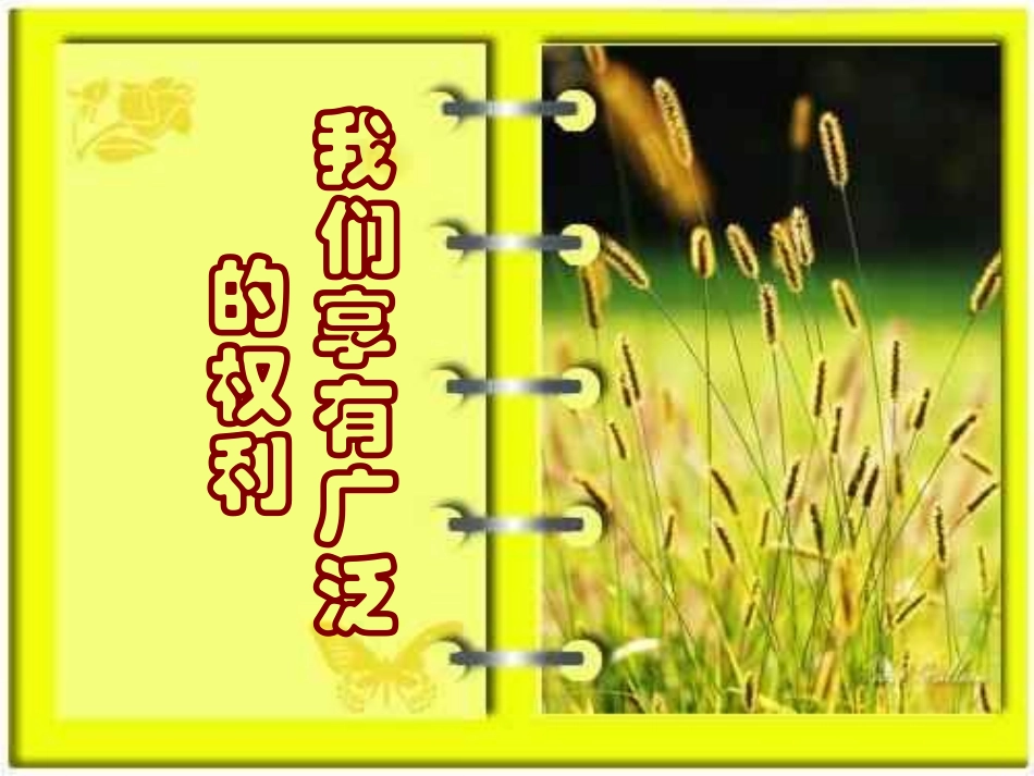 我们享有广泛的权利_第1页
