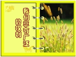 我们享有广泛的权利