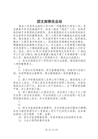 团支部推优总结 