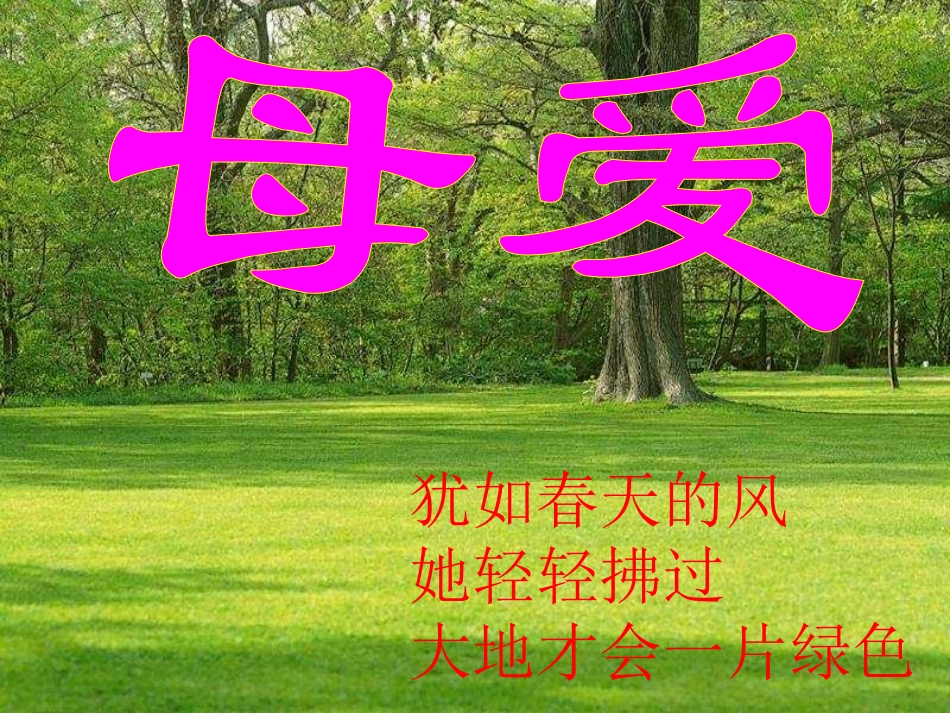 综合性学习《母爱》课件_第1页