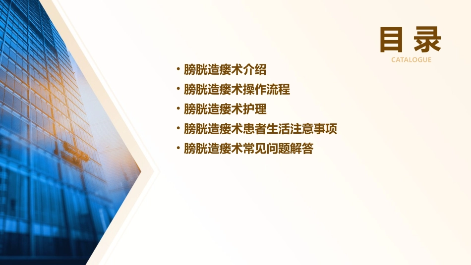 膀胱造瘘及护理课件_第2页