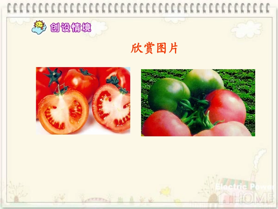 12“番茄太阳”_第2页