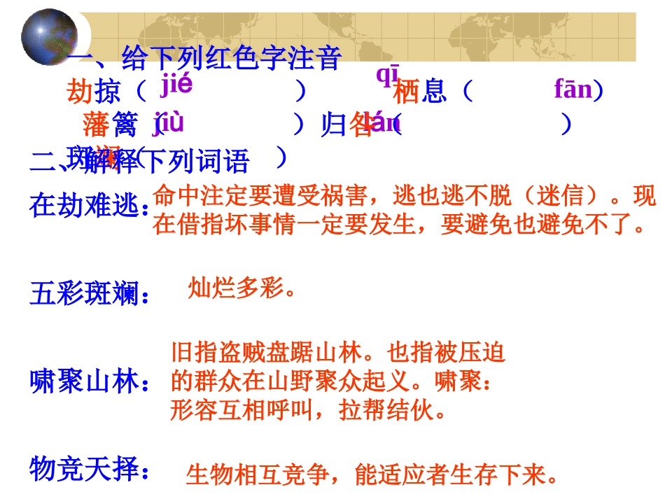 生物入侵者课件_第3页