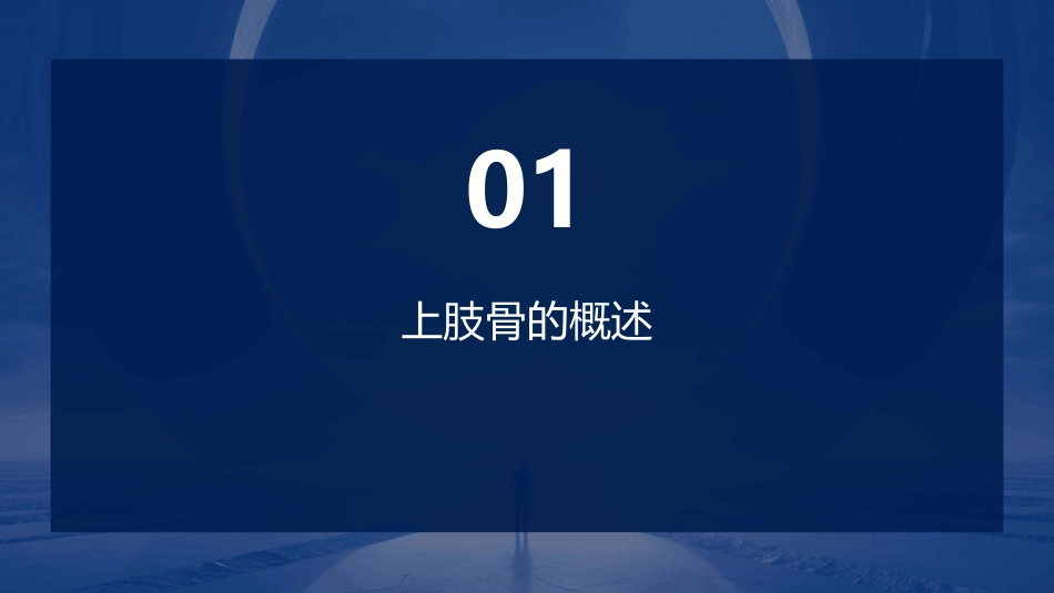 人体解剖学之上肢骨护理课件_第3页